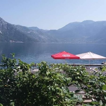 Apartments Dabovic Kotor Exteriér fotografie