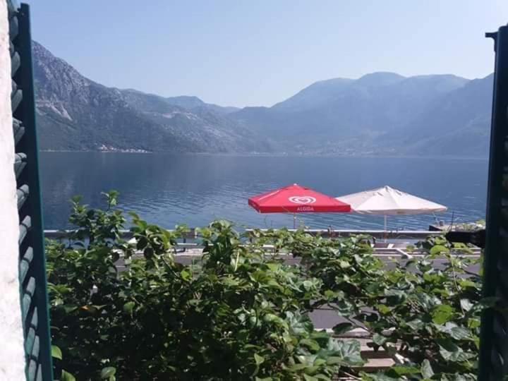 Apartments Dabovic Kotor Exteriér fotografie