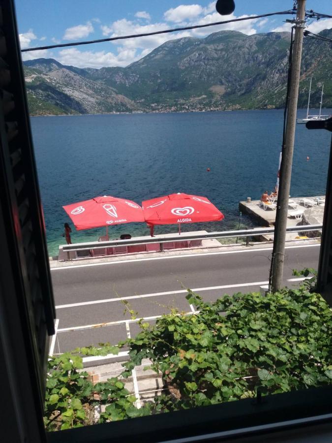 Apartments Dabovic Kotor Exteriér fotografie