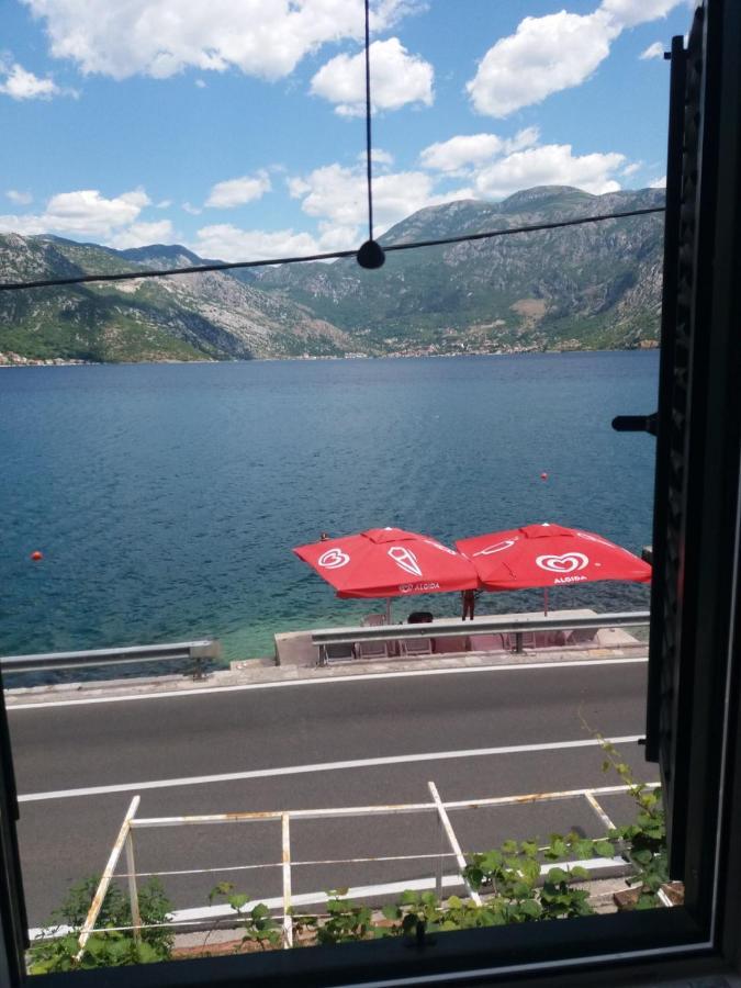 Apartments Dabovic Kotor Exteriér fotografie