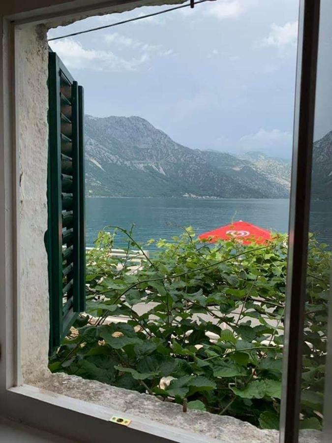 Apartments Dabovic Kotor Exteriér fotografie